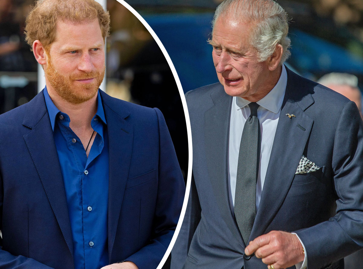 King Charles Has ‘A Weakness’ For Prince Harry – But Will It Be Enough To Save Relationship??