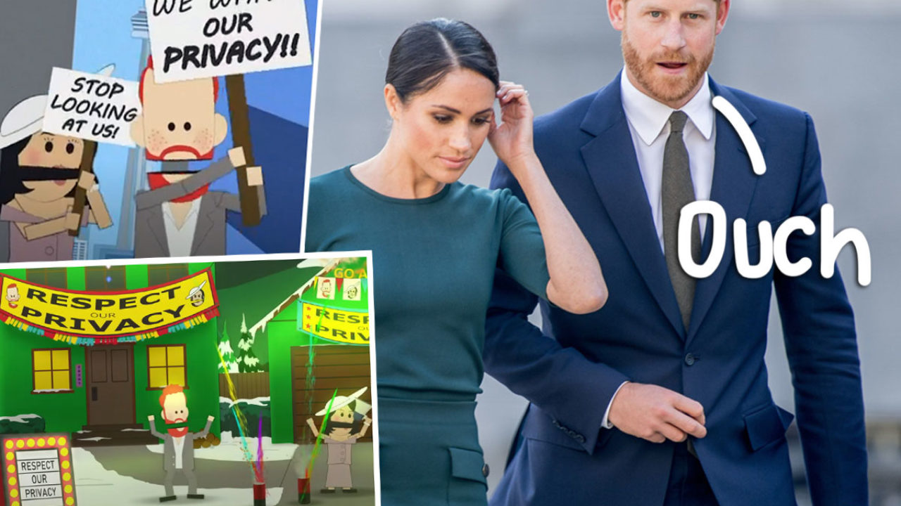 SAVAGE! South Park DESTROYS Prince Harry & Meghan Markle Worldwide Privacy  Tour