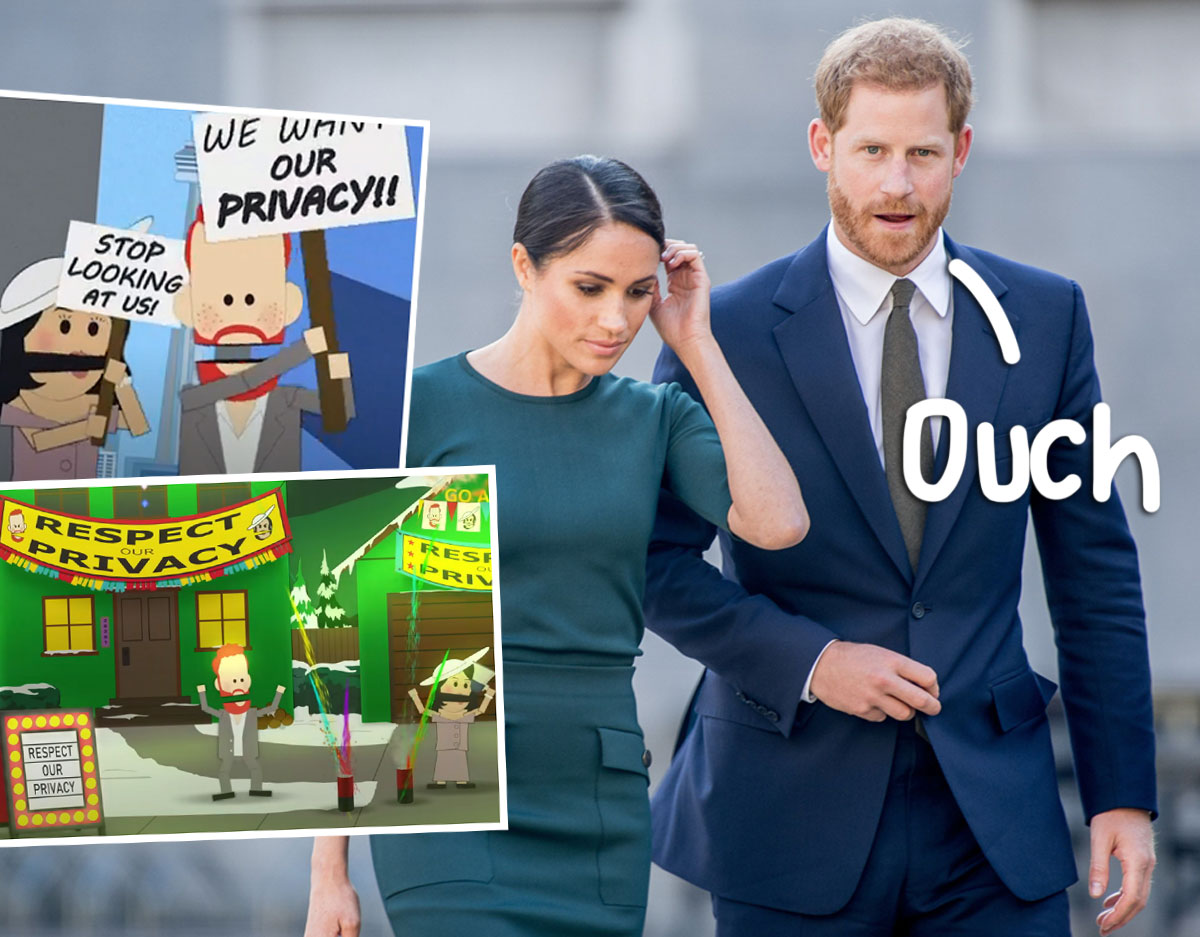 Harry & Megan South Park Funny Royal Family Tshirt Spare 