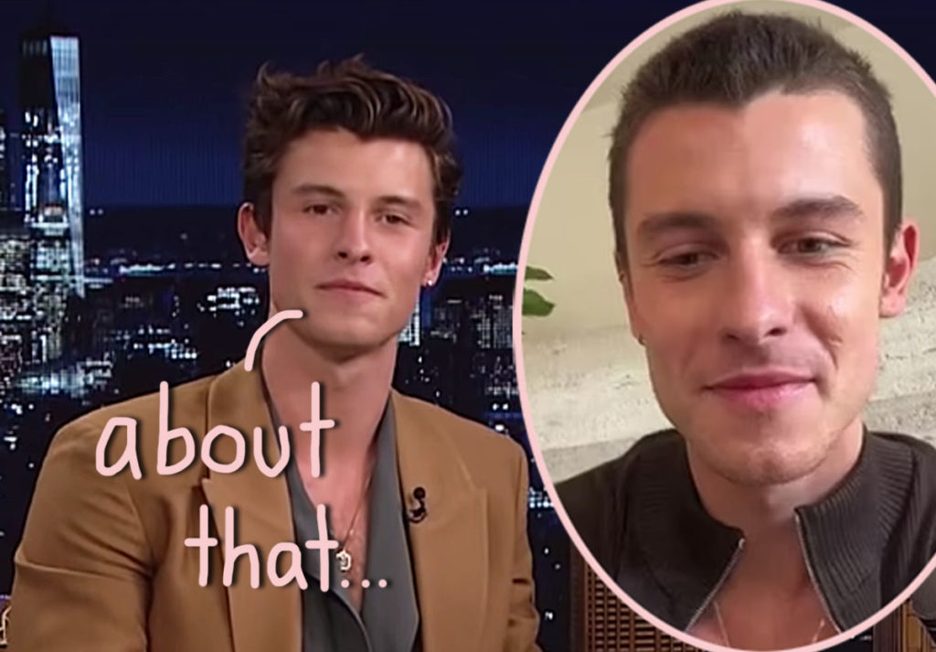 Shawn Mendes Explains Why He Shaved His Head & Canceled His Tour ...