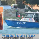 16-Year-Old Australian Girl Killed In Rare Shark Attack While Trying To Swim With Dolphins
