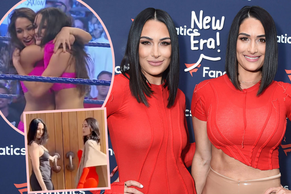Bella Twins Announce Retirement New Name 1024x683 