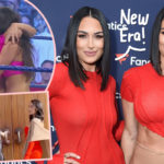 Nikki & Brie Bella Announce Their Retirement From WWE -- And Debut A New Name!