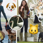 An Inside Look At The Lavish Lives Of Royal Pets!