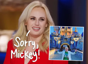Rebel Wilson Was Banned From Disneyland Over A Bathroom Selfie