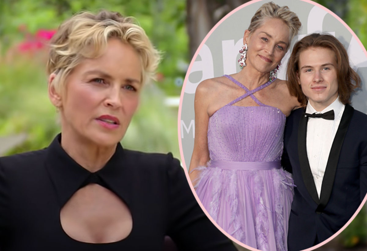 #Sharon Stone Says She Lost Custody Of Her Son Over Raunchy Basic Instinct Role