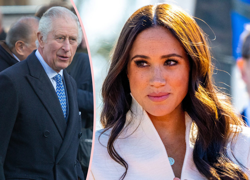 Meghan Markle Reportedly Wrote Letter To King Charles About Unconscious Bias Within The Royal 5687