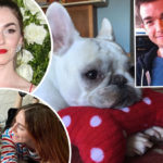 Exes John Mulaney & Anna Marie Tendler Mourn Dog Petunia's Death