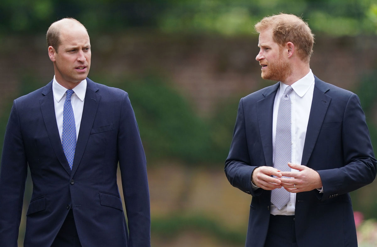 Prince Harry & Prince William Haven't Spoken A WORD To Each Other: 'A Big Void'