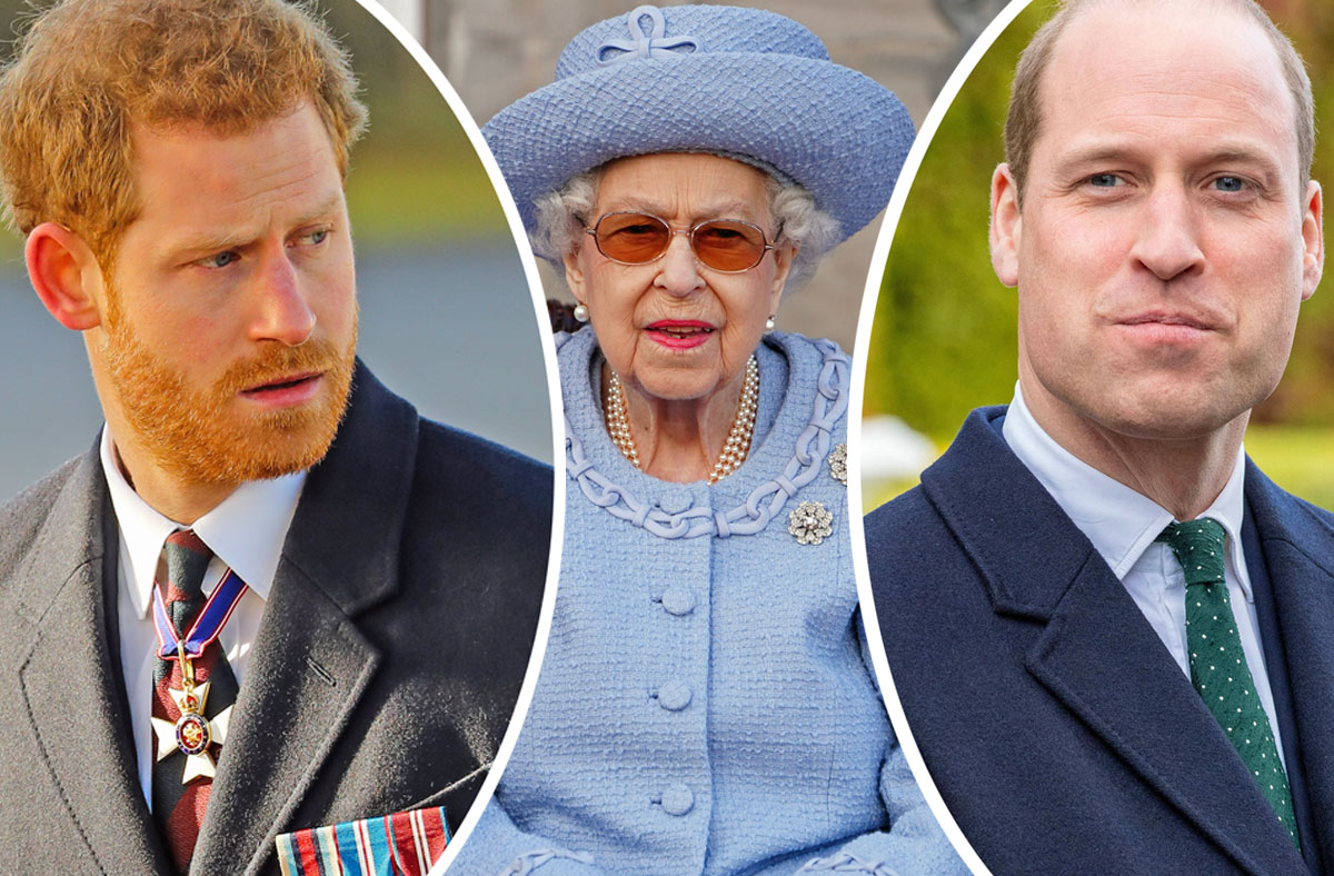 Queen Elizabeth Wanted Prince Harry AND Prince William To Fight In ...