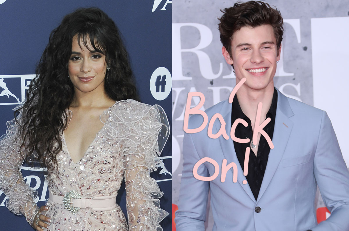 Looks Like Shawn Mendes & Camila Cabello Are Back Together