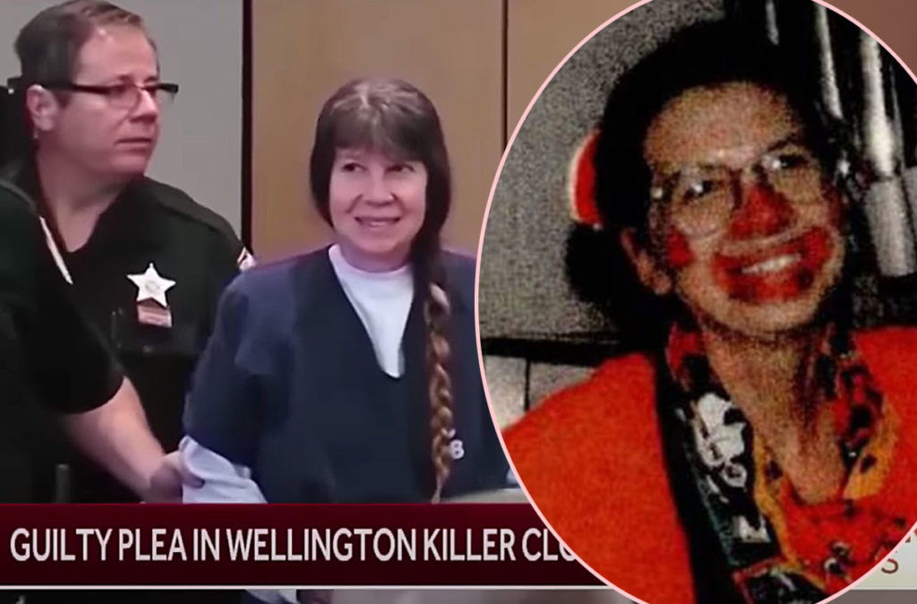 Woman Finally Pleads Guilty To Floridas Infamous Killer Clown Murder 30 Years Later Perez 0611