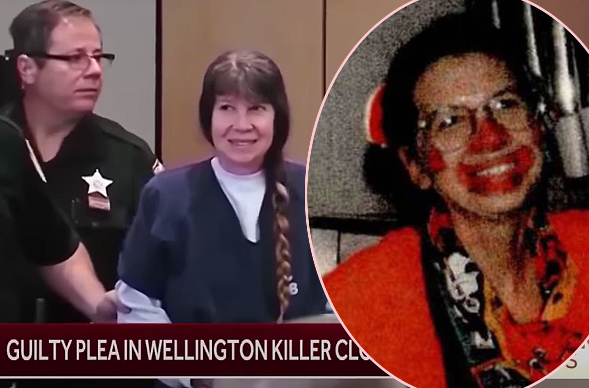 Woman Finally Pleads Guilty To Floridas Infamous Killer Clown Murder