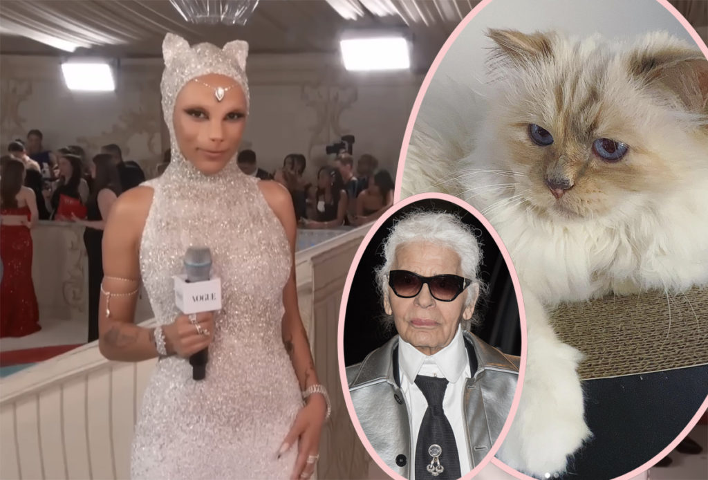 See Doja Cat as Karl Lagerfeld's cat Choupette at 2023 Met Gala