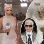 OMG Doja Cat Is Cosplaying As Karl Lagerfeld's Cat At The Met Gala! LOOK!