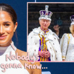 Royal Fans REALLY Thought Meghan Markle Snuck Into Coronation In Disguise!