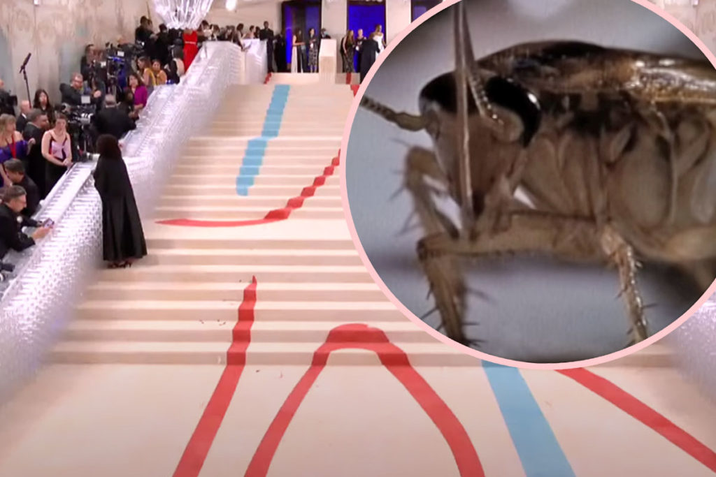 A Cockroach Walked The Red Carpet At The Met Gala And Twitter Can’t