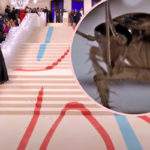 A Cockroach Walked The Red Carpet At The Met Gala -- And Twitter Can’t Stop Joking About It!