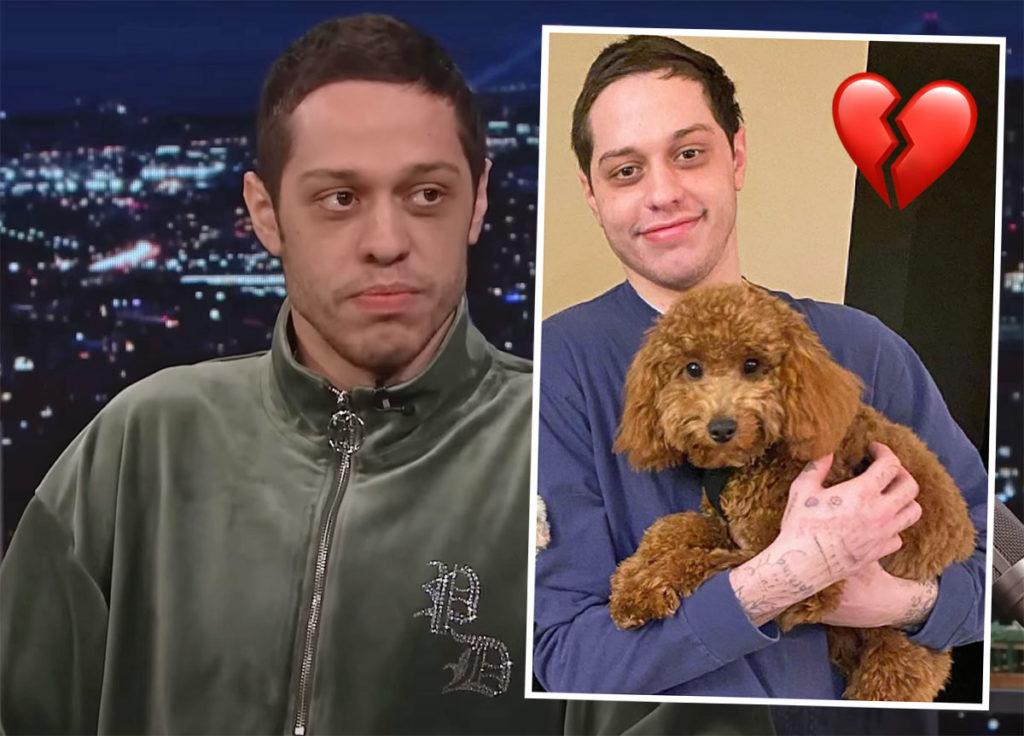 Pete Davidson Mourns Death of Beloved Dog Henry