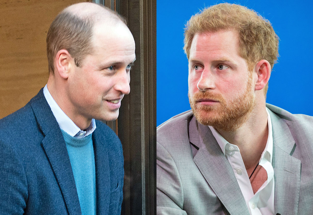 Prince William's Friend MOCKS Harry & Meghan's Car Chase Reaction