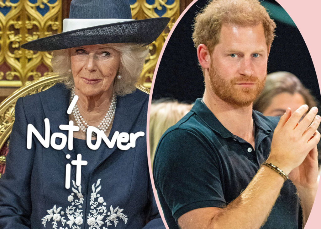 Queen Camilla 'Furious' At Prince Harry Over What He Said In Memoir, Say Insiders