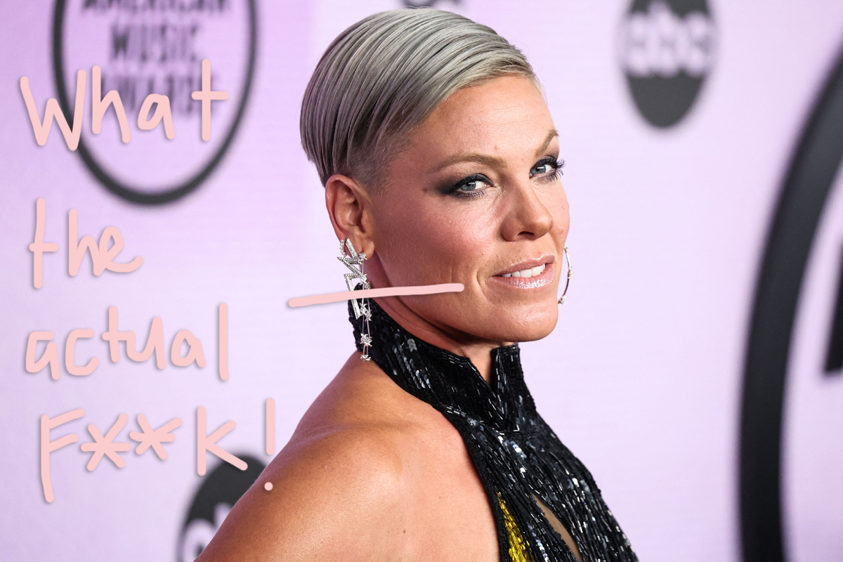 Someone Threw Their Mom’s Ashes At Pink While She Was Performing – OMFG!! Someone Threw Their Mom’s Ashes At Pink While She Was Performing – OMFG!!