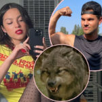 Twilight's Taylor Lautner Has An Appropriate Reaction To Olivia Rodrigo’s New Song Vampire!