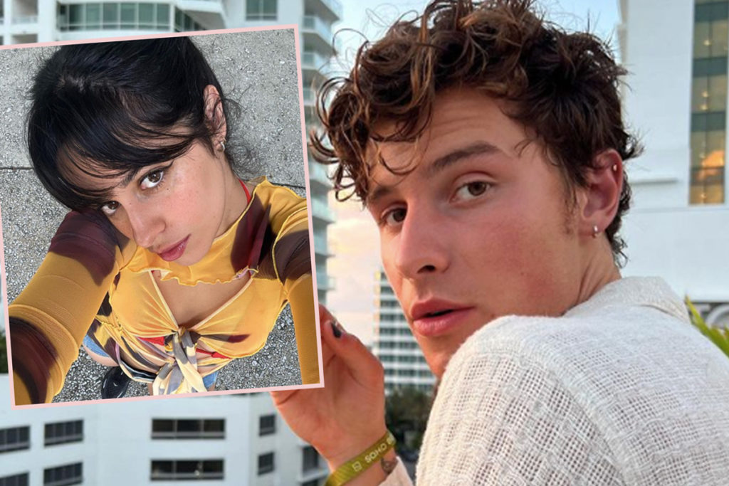 Shawn Mendes Ignites Controversy After Fans Say He Used ‘Air Pollution’ To Promote New Song About Camila Cabello!