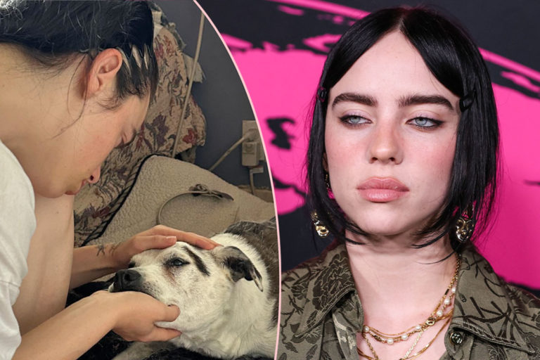 Billie Eilish Mourns The Death Of Her Childhood Dog In Heartbreaking(02)