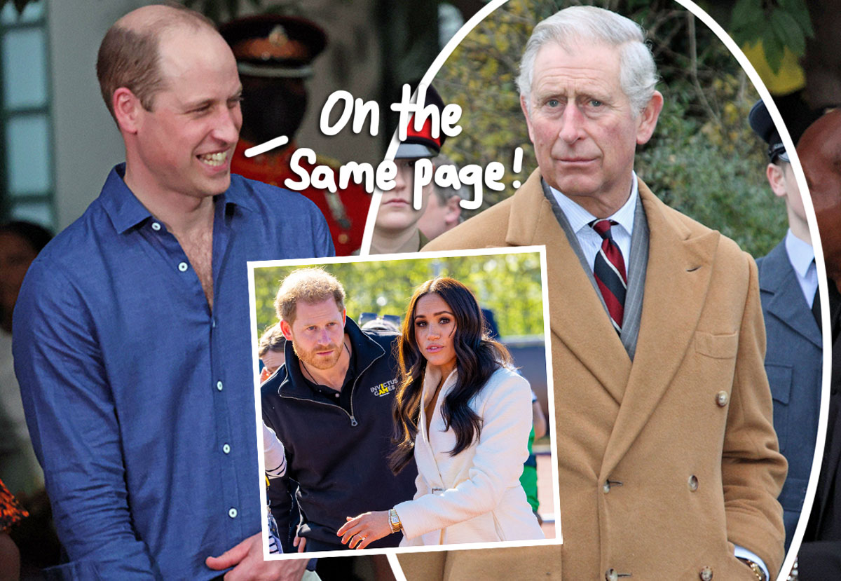 King Charles & Prince William Have 'Stronger Bond' After Becoming ...