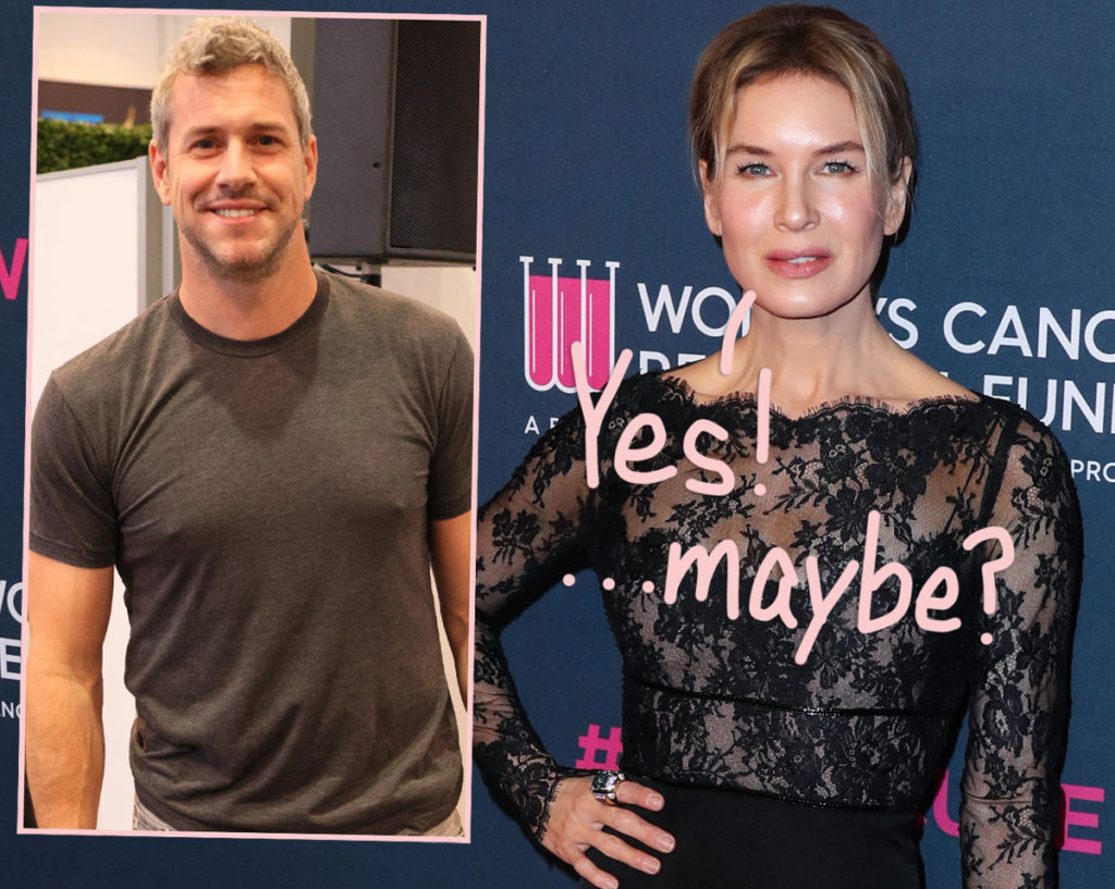 Renée Zellweger Engaged To Ant Anstead?? The Story On Those Confusing ...