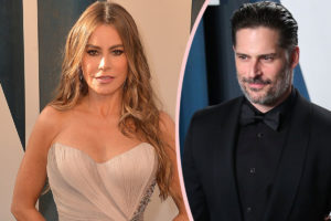 Divorce Attorney Weighs In On What’s At Stake In Sofia Vergara & Joe