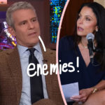 Bethenny Frankel Says Bravo Battle Is 'Personal' For Andy Cohen -- He Now 'Despises' Her!