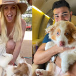 Britney Spears Terrified Sam Asghari Will Try To Take Custody Of Her Dogs!