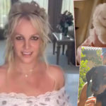 Britney Spears Gets THE LITERAL CUTEST PUP EVER After Giving Dog To Sam Asghari In Divorce!