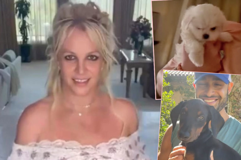 Britney Spears Gets THE LITERAL CUTEST PUP EVER After Giving Dog To Sam