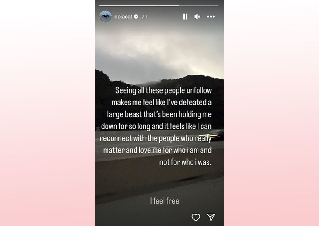 Doja Cat's Response To Losing Over 180 THOUSAND Followers Amid Fandom ...