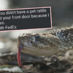 FedEx Driver Kills Rattlesnake RIGHT After Homeowner's Daughter Walks By In Nailbiting Ring Footage! WATCH!
