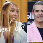 NeNe Leakes Says She's 'Very Open To Sitting Down' With Andy Cohen & Bravo -- But Suggests They Aren't??