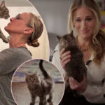 Sarah Jessica Parker Adopted That AJLT Rescue Kitten FOR REAL!