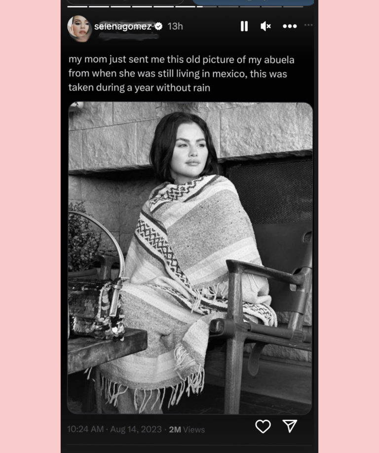 Selena Gomez Shares Viral Blanket Photo & Throws Support Behind ...