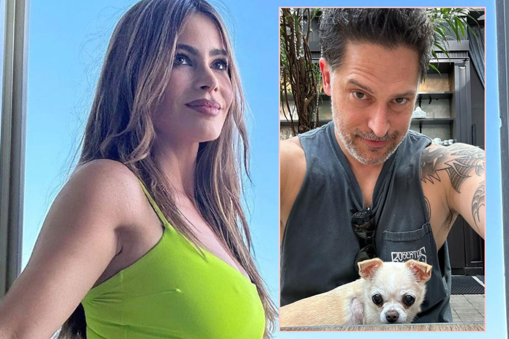 What will happen to Sophia Vergara's assets after her divorce from Joe  Manganiello?