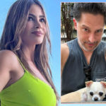 Sofia Vergara Giving Joe Manganiello Her Dog In Divorce Because It Likes Him Better!