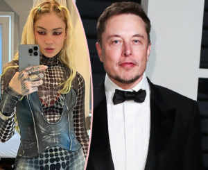 Elon Musk & Grimes Secretly Welcomed Third Child, New Biography Reveals