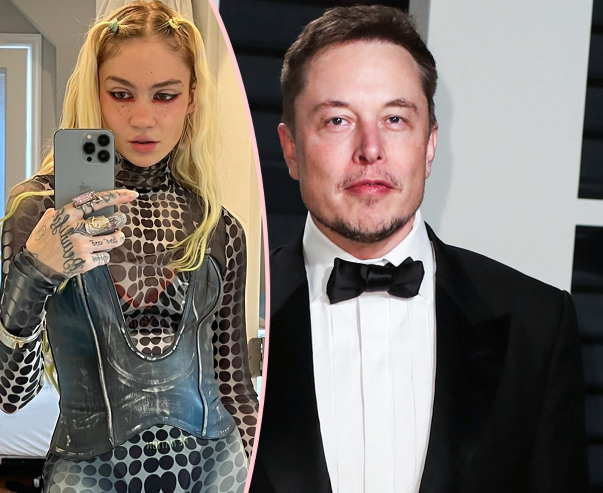 Elon Musk & Grimes Secretly Third Child, New Biography Reveals