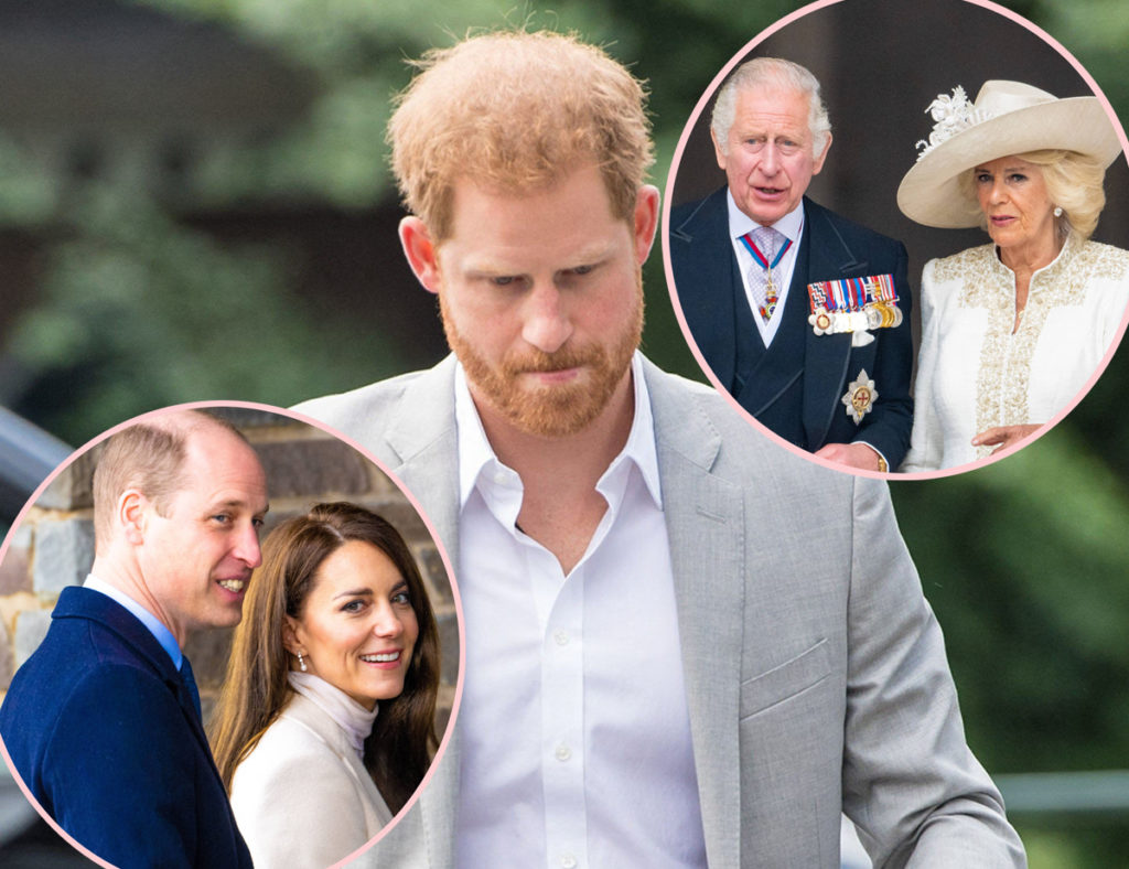 Royal Family SNUBS Prince Harry On 39th Birthday - And Will From Now On ...