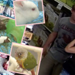 Teen Goes On Animal Killing Spree In Oklahoma Pet Store