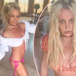 Britney Spears Addresses Cops Visiting Her Home & Asks Fans To Stop Calling Them Over Knife Video!