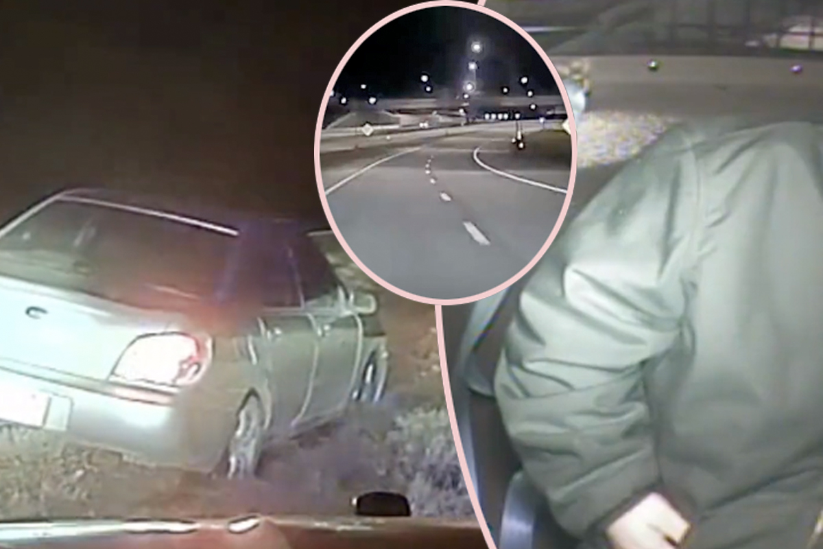 This Drunk Driver Referred to as 911 On HIMSELF?! – The Shock Information This Drunk Driver Referred to as 911 On HIMSELF?! – The Shock Information