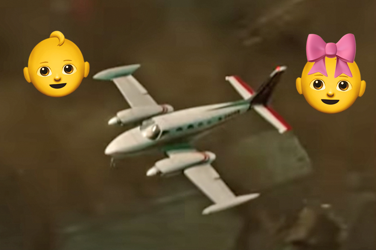 Gender Reveal Party Goes Horrifically Wrong As Plane Dropping Pink